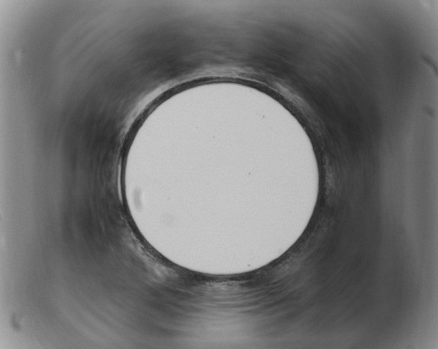 X0000103941272200809191139