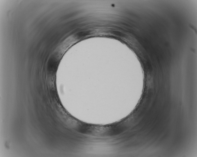 X0000103941273200809191139