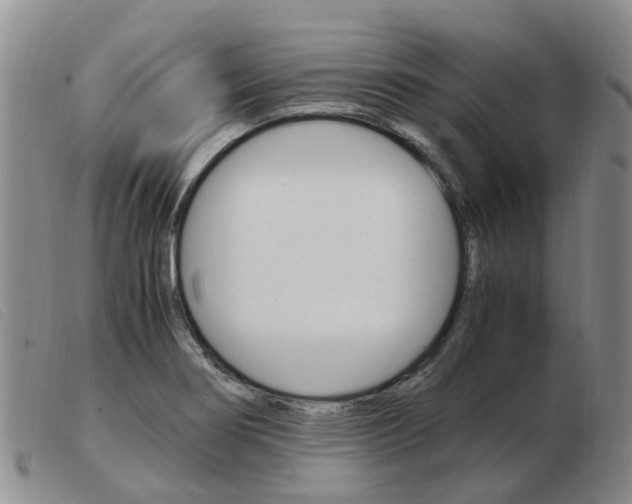 X0000103941274200809191139