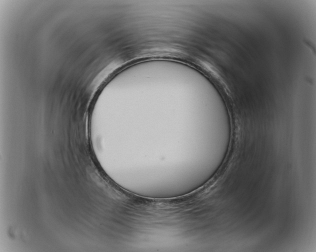 X0000103941275200809191139