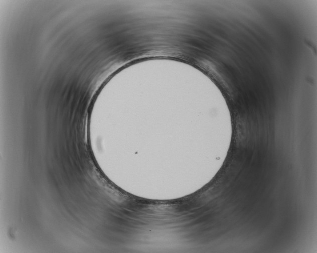 X0000103941276200809191139
