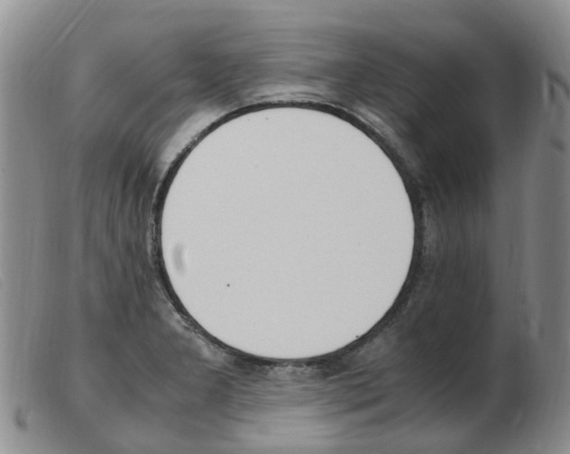 X0000103941277200809191139