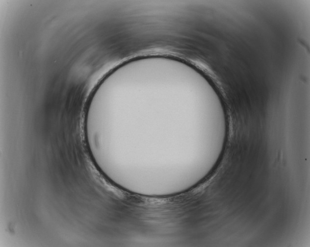 X0000103941278200809191139