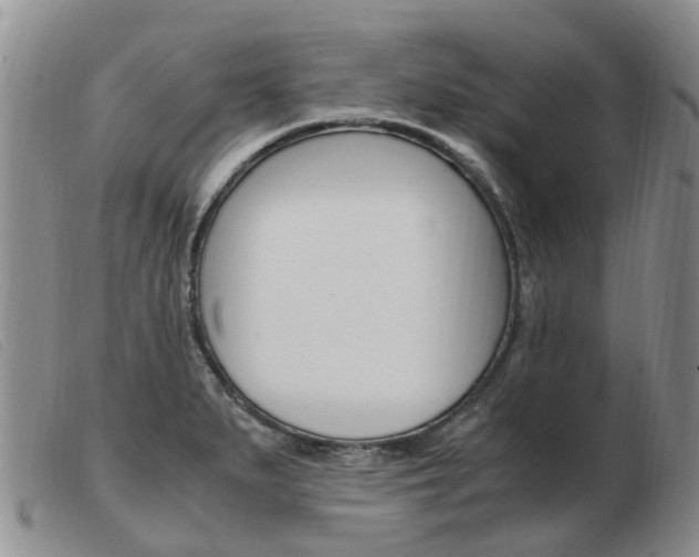 X0000103941279200809191139