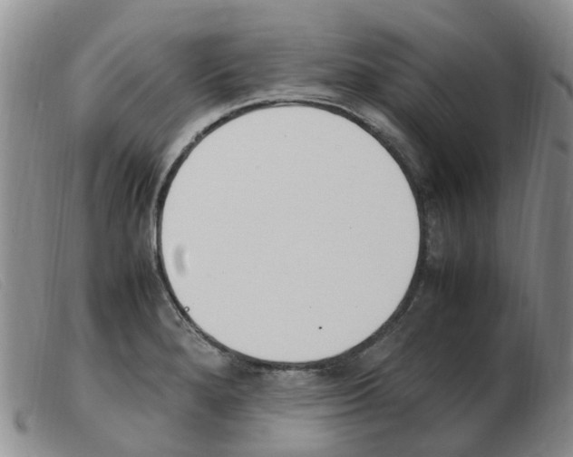 X0000103941280200809191139