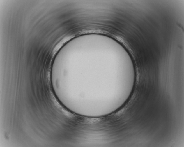 X0000103941282200809191139
