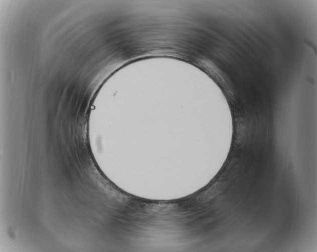 X0000103941284200809191139