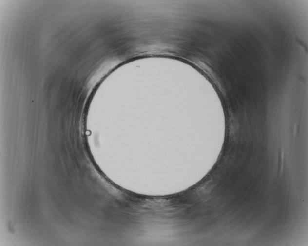 X0000103941285200809191139