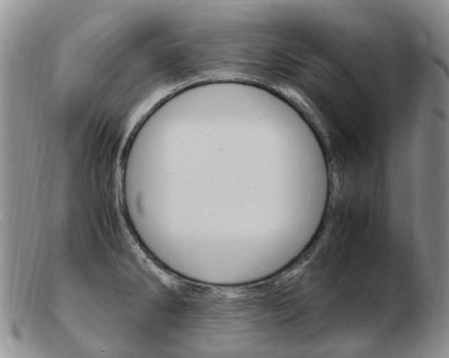 X0000103941286200809191139