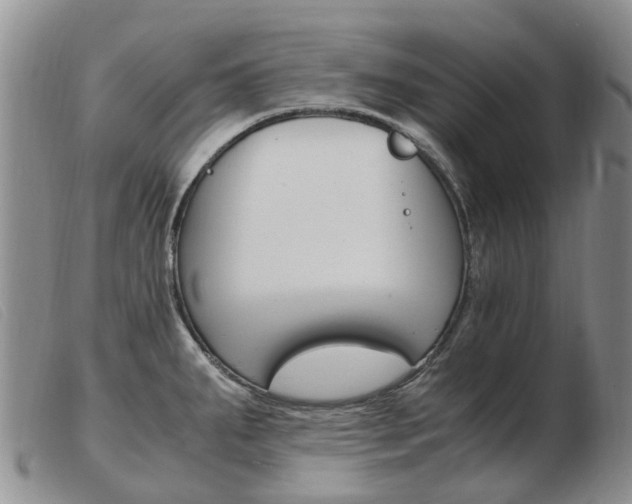 X0000103941287200809191139