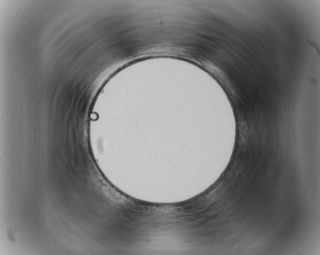 X0000103941288200809191139