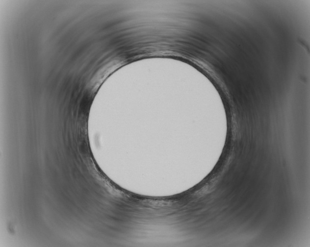 X0000103941289200809191139