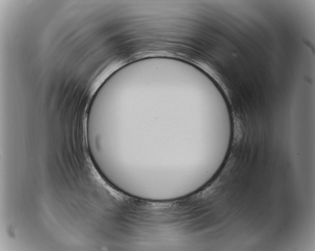 X0000103941290200809191138
