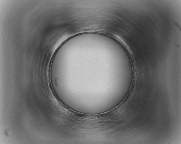 X0000103941291200809191138