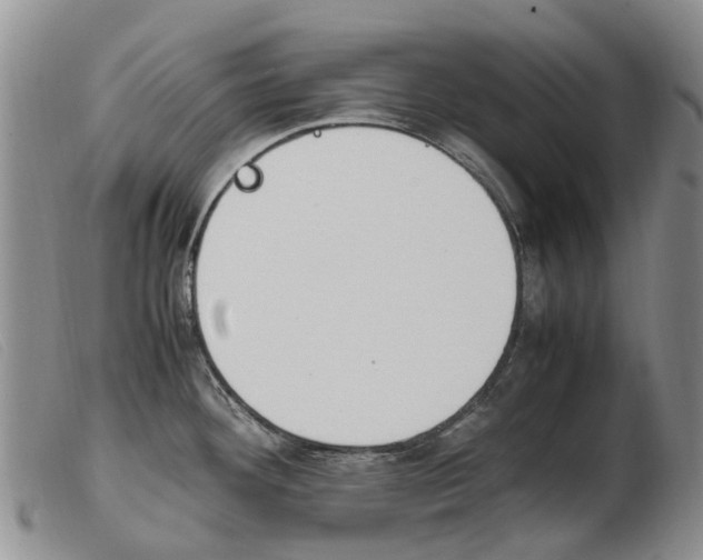 X0000103941292200809191138