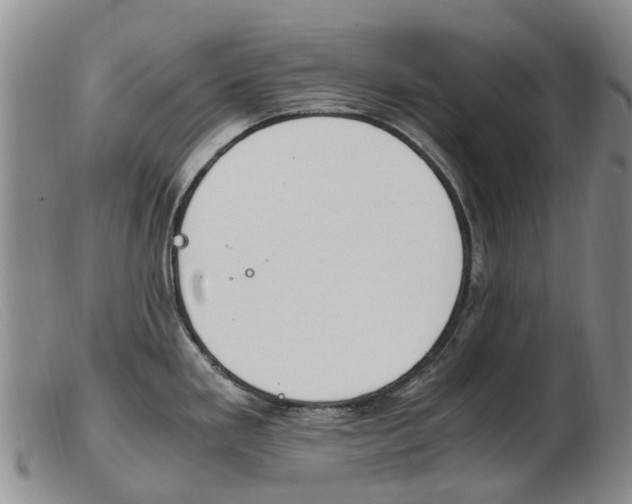 X0000103941293200809191138