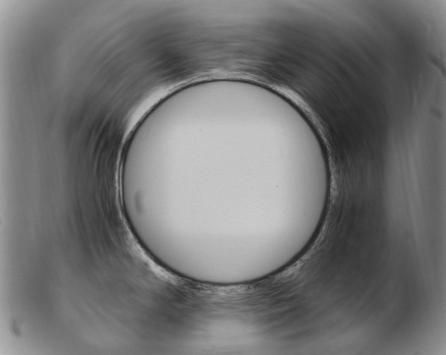 X0000103941294200809191138
