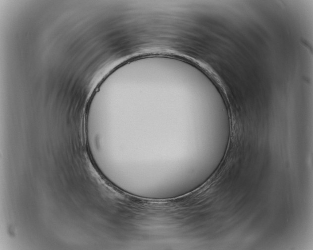 X0000103941295200809191138