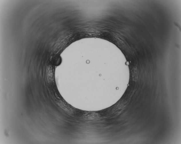 X0000103941298200809191138
