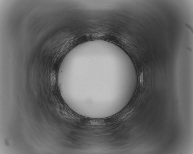 X0000103941299200809191138