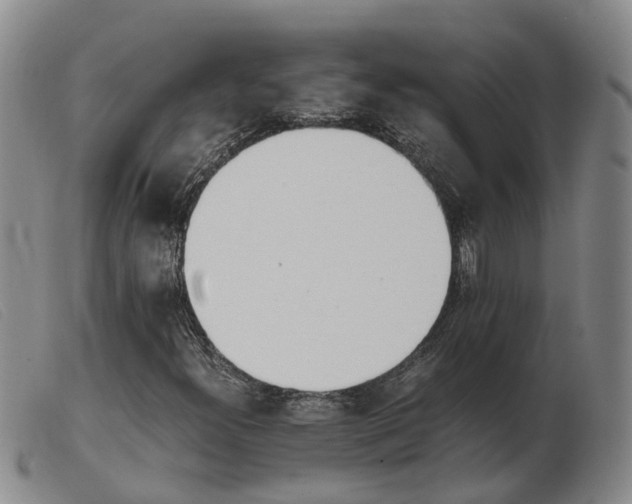 X0000103941300200809191138