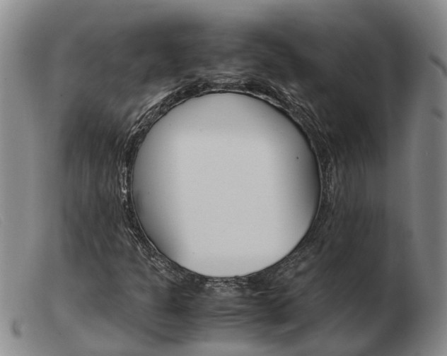 X0000103941301200809191138