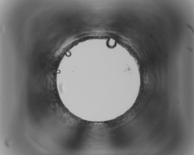 X0000103941304200809191138