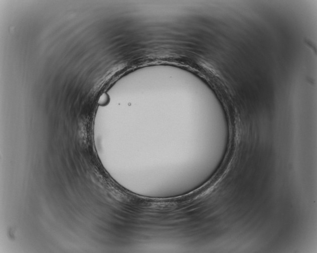 X0000103941305200809191138