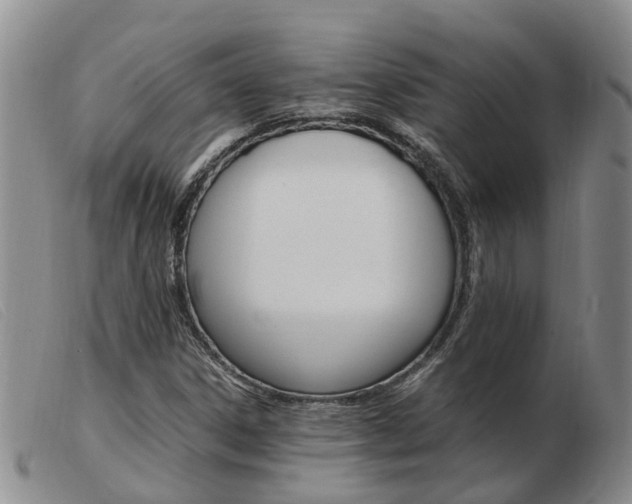 X0000103941306200809191138
