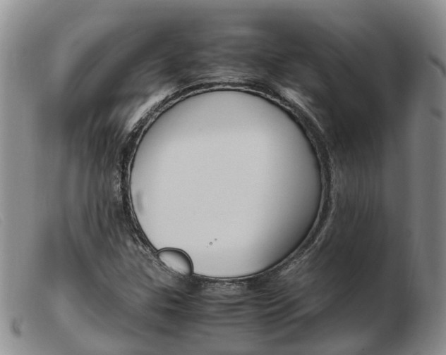 X0000103941307200809191138
