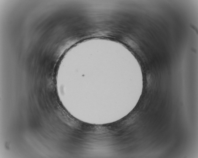 X0000103941308200809191138