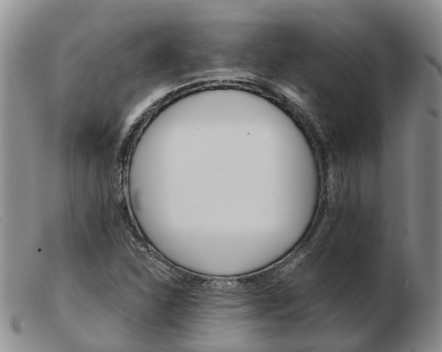 X0000103941310200809191138