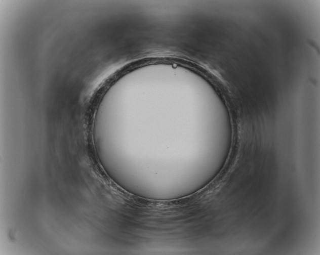 X0000103941311200809191138