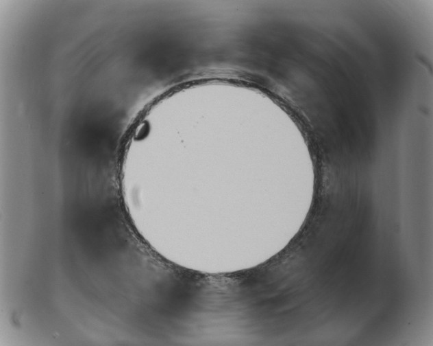 X0000103941312200809191138