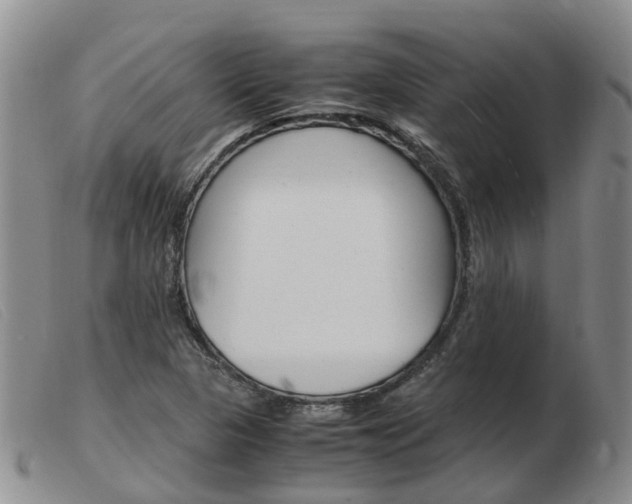 X0000103941313200809191138