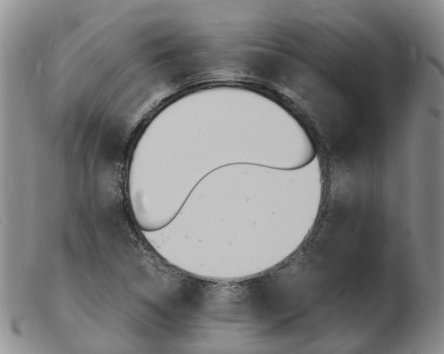 X0000103941314200809191138