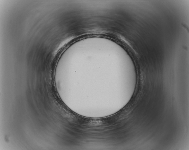 X0000103941315200809191138