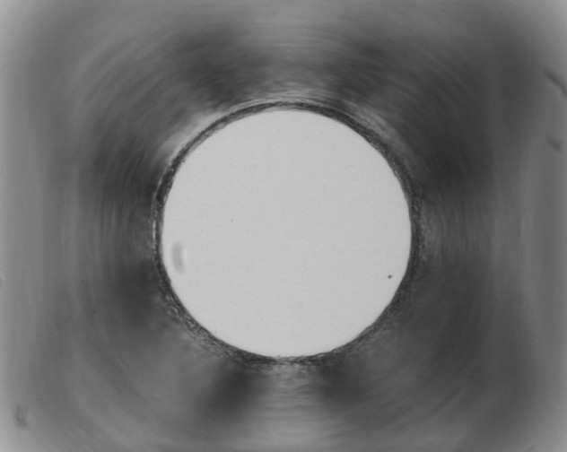 X0000103941316200809191138