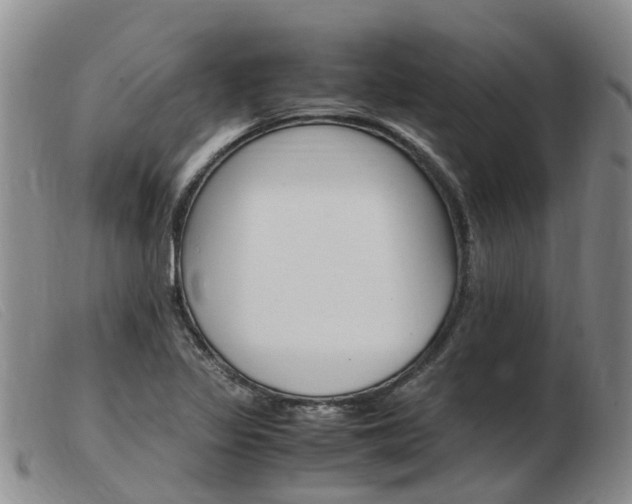 X0000103941317200809191138