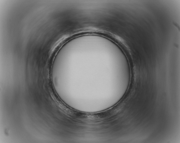 X0000103941318200809191138