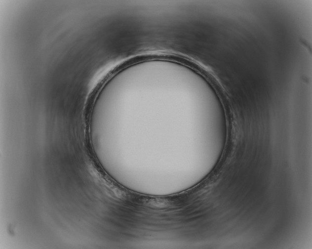X0000103941319200809191138