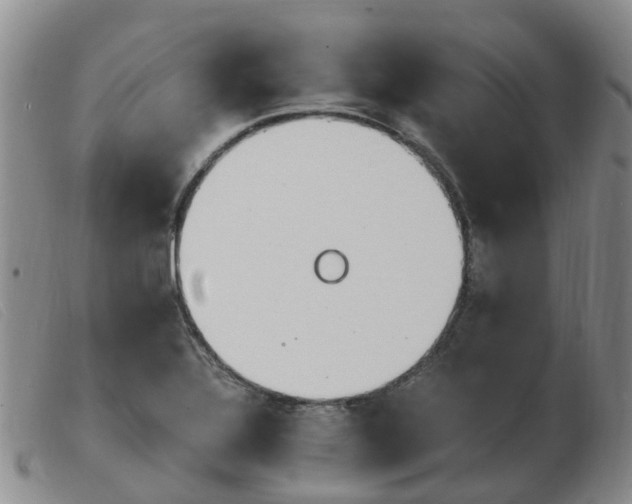 X0000103941320200809191138