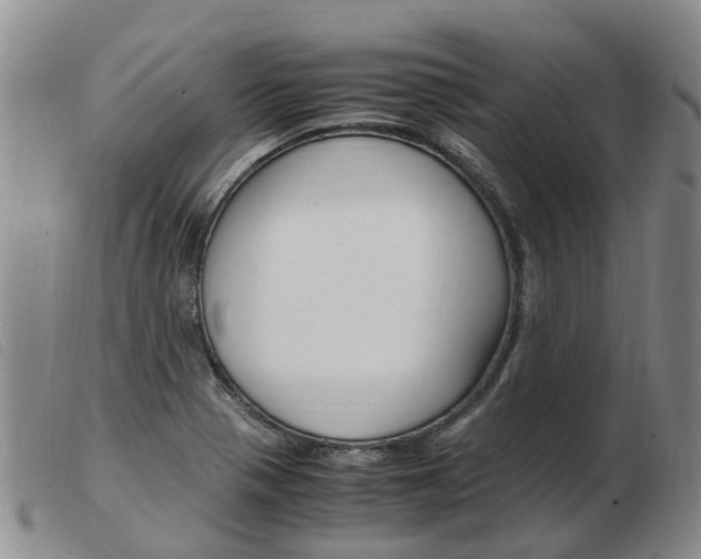 X0000103941321200809191138