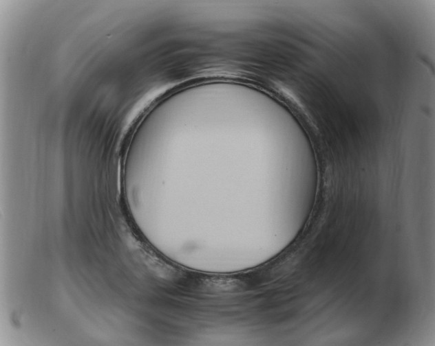X0000103941323200809191138