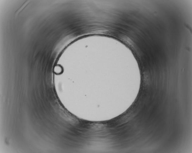 X0000103941324200809191138