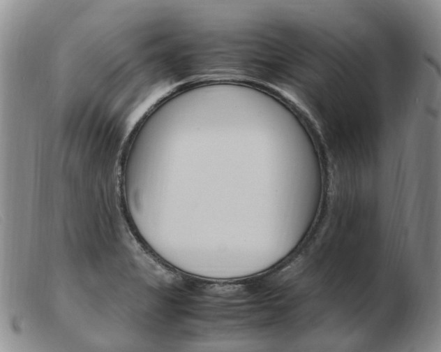 X0000103941325200809191138