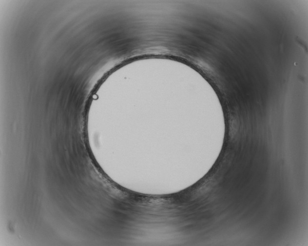 X0000103941326200809191138