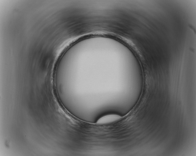 X0000103941327200809191138
