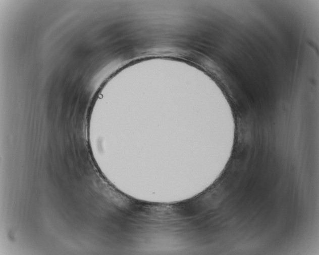 X0000103941328200809191138