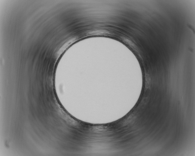X0000103941330200809191138